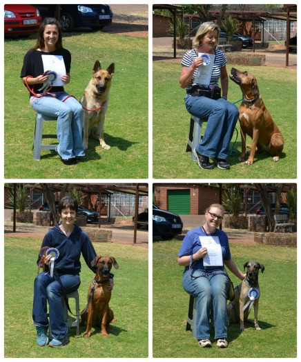 The Canine Good Citizen graduates from "Dog on the Couch" School! The two  on the left (Mirco, Suki and owners) got both their Bronze AND Silver, while the two on the right (Phoebe, Emily and owners) achieved the Silver