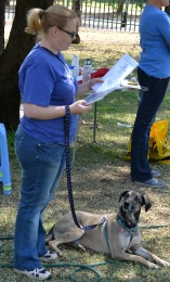 Receiving Phoebe's Silver Canine Good Citizen Certificate and rosette